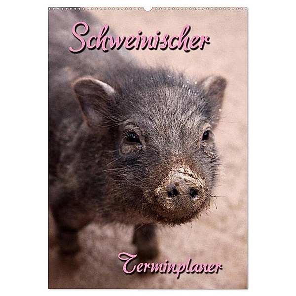 Schweinischer Terminplaner (Wandkalender 2024 DIN A2 hoch), CALVENDO Monatskalender, Martina Berg