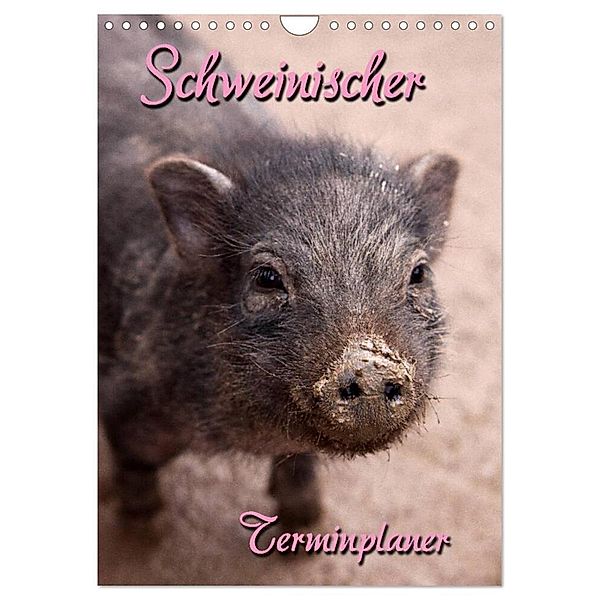 Schweinischer Terminplaner (Wandkalender 2024 DIN A4 hoch), CALVENDO Monatskalender, Martina Berg