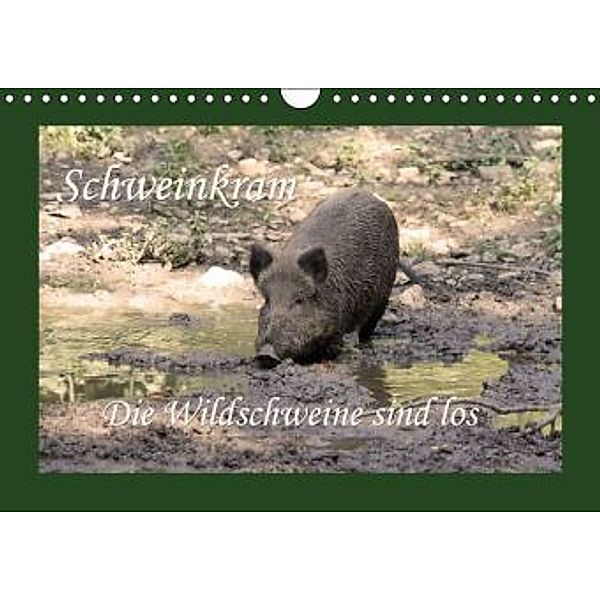 Schweinkram - Die Wildschweine sind los (Wandkalender 2016 DIN A4 quer), Antje Lindert-Rottke