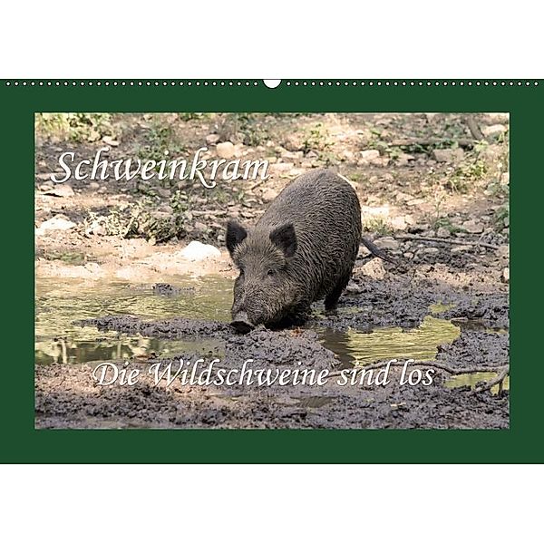 Schweinkram - Die Wildschweine sind los (Wandkalender 2019 DIN A2 quer), Antje Lindert-Rottke