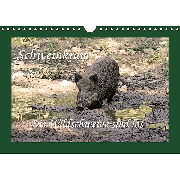 Schweinkram - Die Wildschweine sind los (Wandkalender 2019 DIN A4 quer), Antje Lindert-Rottke