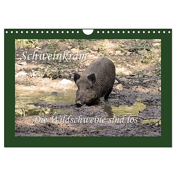 Schweinkram - Die Wildschweine sind los (Wandkalender 2024 DIN A4 quer), CALVENDO Monatskalender, Antje Lindert-Rottke