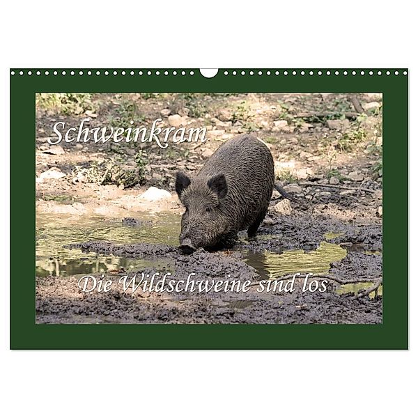 Schweinkram - Die Wildschweine sind los (Wandkalender 2024 DIN A3 quer), CALVENDO Monatskalender, Antje Lindert-Rottke