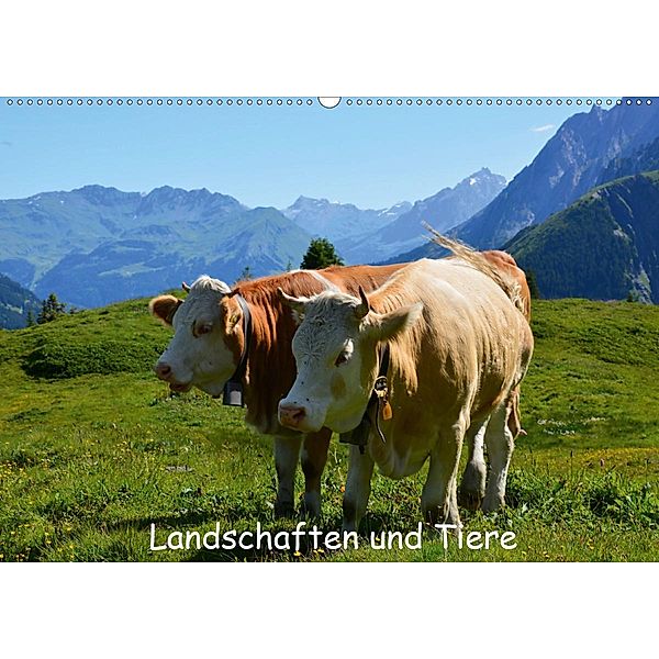 Schweizer Bergwelt Landschaften und TiereCH-Version (Wandkalender 2020 DIN A2 quer), Stefanie Kellmann, Philipp Kellmann