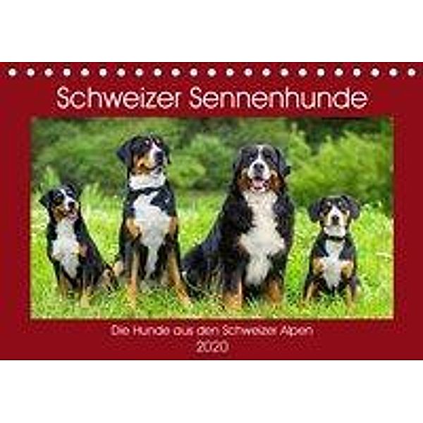 Schweizer Sennenhunde - die Hunde aus den Schweizer Alpen (Tischkalender 2020 DIN A5 quer), Sigrid Starick