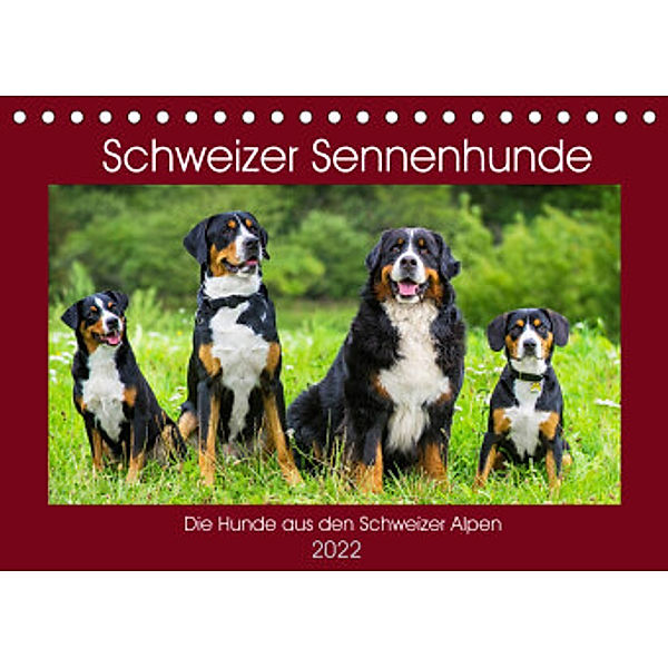 Schweizer Sennenhunde - die Hunde aus den Schweizer Alpen (Tischkalender 2022 DIN A5 quer), Sigrid Starick