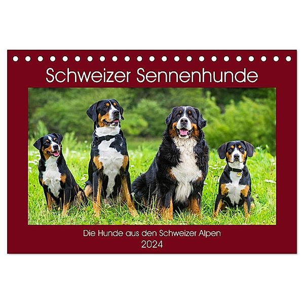 Schweizer Sennenhunde - die Hunde aus den Schweizer Alpen (Tischkalender 2024 DIN A5 quer), CALVENDO Monatskalender, Sigrid Starick