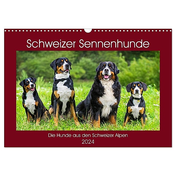 Schweizer Sennenhunde - die Hunde aus den Schweizer Alpen (Wandkalender 2024 DIN A3 quer), CALVENDO Monatskalender, Sigrid Starick