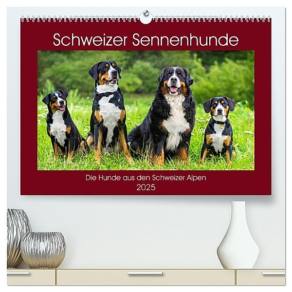 Schweizer Sennenhunde - die Hunde aus den Schweizer Alpen (hochwertiger Premium Wandkalender 2025 DIN A2 quer), Kunstdruck in Hochglanz, Calvendo, Sigrid Starick