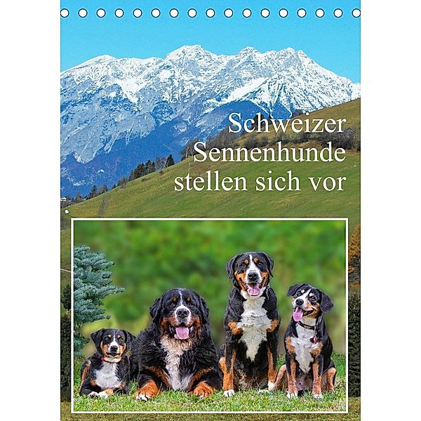 Schweizer Sennenhunde stellen sich vor (Tischkalender 2023 DIN A5 hoch), Sigrid Starick