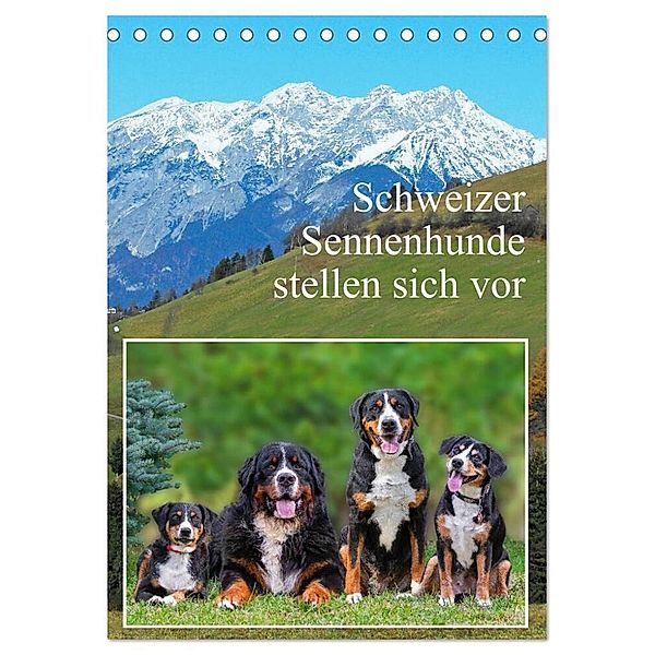 Schweizer Sennenhunde stellen sich vor (Tischkalender 2024 DIN A5 hoch), CALVENDO Monatskalender, Sigrid Starick