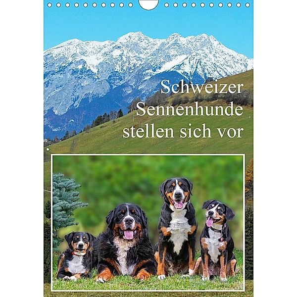 Schweizer Sennenhunde stellen sich vor (Wandkalender 2020 DIN A4 hoch), Sigrid Starick