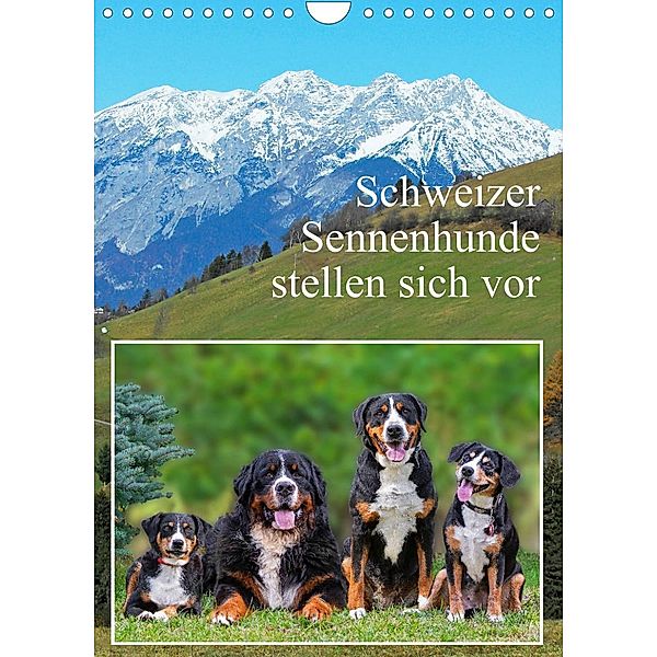 Schweizer Sennenhunde stellen sich vor (Wandkalender 2023 DIN A4 hoch), Sigrid Starick