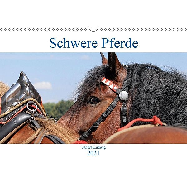 Schwere Pferde 2021 (Wandkalender 2021 DIN A3 quer), Sandra Ludwig