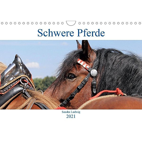 Schwere Pferde 2021 (Wandkalender 2021 DIN A4 quer), Sandra Ludwig