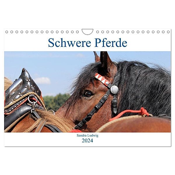 Schwere Pferde 2024 (Wandkalender 2024 DIN A4 quer), CALVENDO Monatskalender, Sandra Ludwig