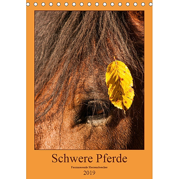Schwere Pferde - Faszinierende Herzensbrecher (Tischkalender 2019 DIN A5 hoch), Meike Bölts