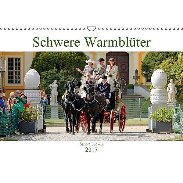 Schwere Warmblüter 2017 (Wandkalender 2017 DIN A3 quer), Sandra Ludwig