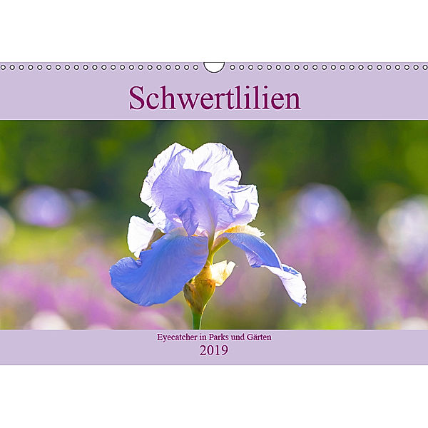 Schwertlilien - Eyecatcher in Parks und Gärten (Wandkalender 2019 DIN A3 quer), Monika Scheurer