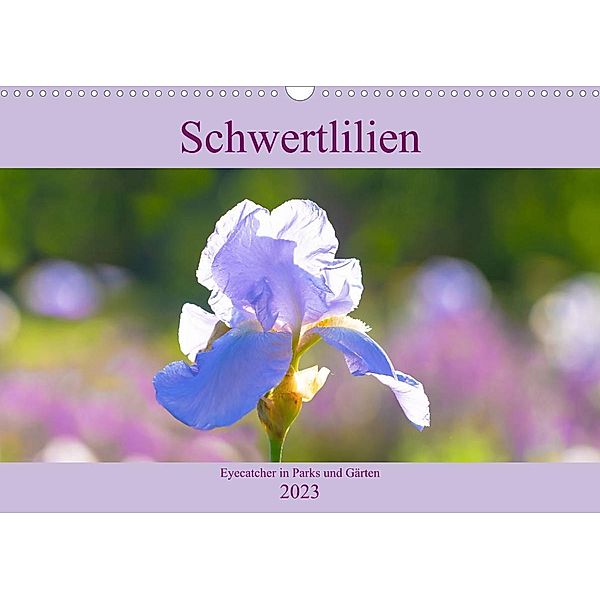 Schwertlilien - Eyecatcher in Parks und Gärten (Wandkalender 2023 DIN A3 quer), Monika Scheurer