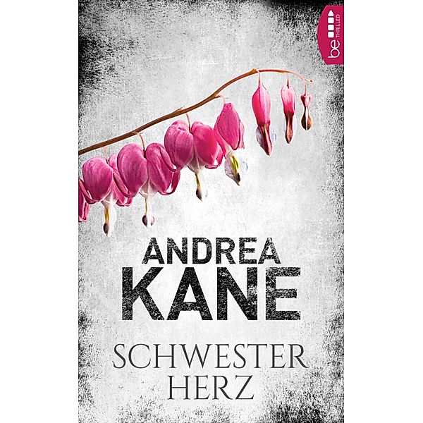Schwesterherz / Romantic Suspense der Bestseller-Autorin Andrea Kane Bd.6, Andrea Kane