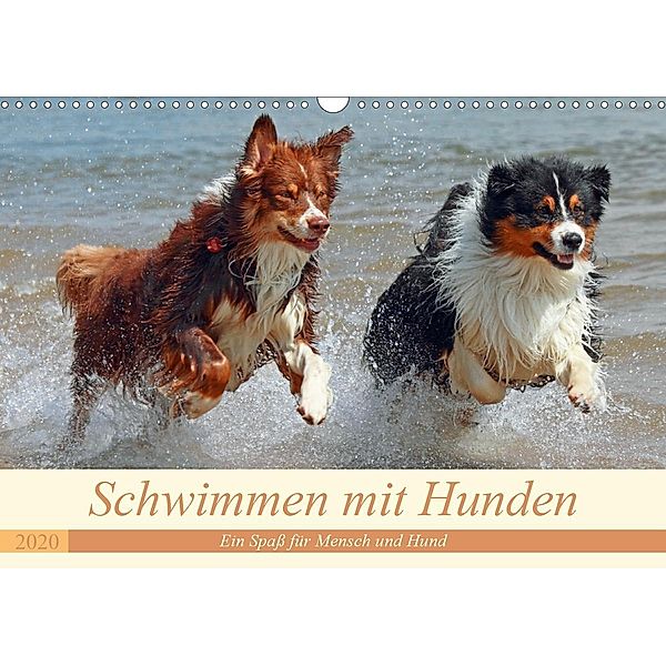 Schwimmen mit Hunden - Ein Spaß für Mensch und Hund (Wandkalender 2020 DIN A3 quer)