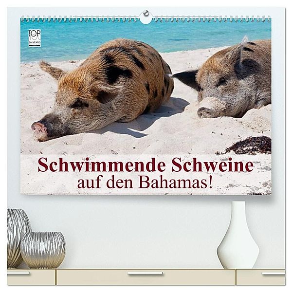 Schwimmende Schweine auf den Bahamas! (hochwertiger Premium Wandkalender 2024 DIN A2 quer), Kunstdruck in Hochglanz, Elisabeth Stanzer