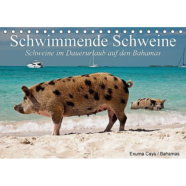 Schwimmende Schweine / Geburtstagskalender (Tischkalender immerwährend DIN A5 quer), Elisabeth Stanzer