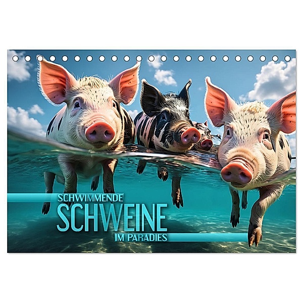 Schwimmende Schweine im Paradies (Tischkalender 2024 DIN A5 quer), CALVENDO Monatskalender, Calvendo, Renate Utz