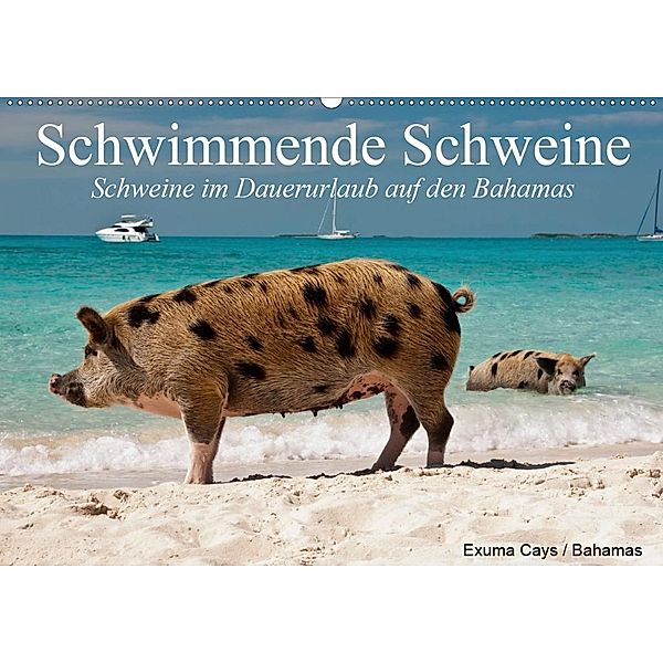 Schwimmende Schweine (Wandkalender 2020 DIN A2 quer), Elisabeth Stanzer