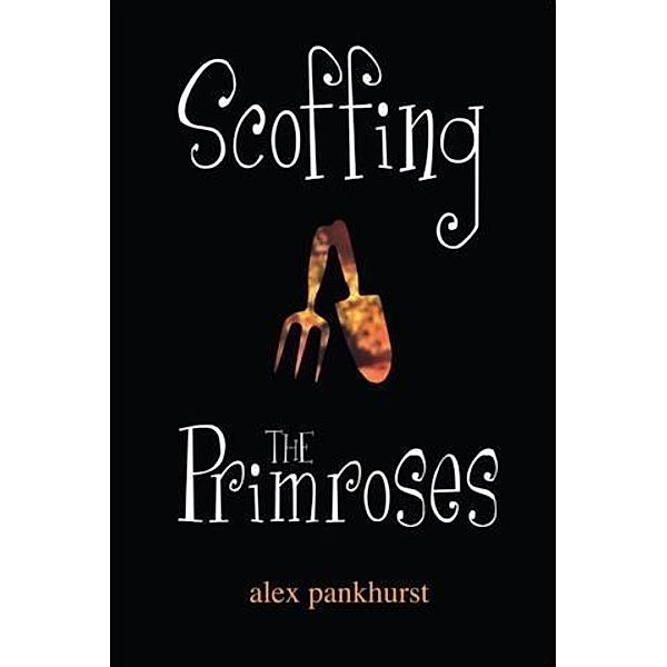 Scoffing The Primroses, Alex Pankhurst