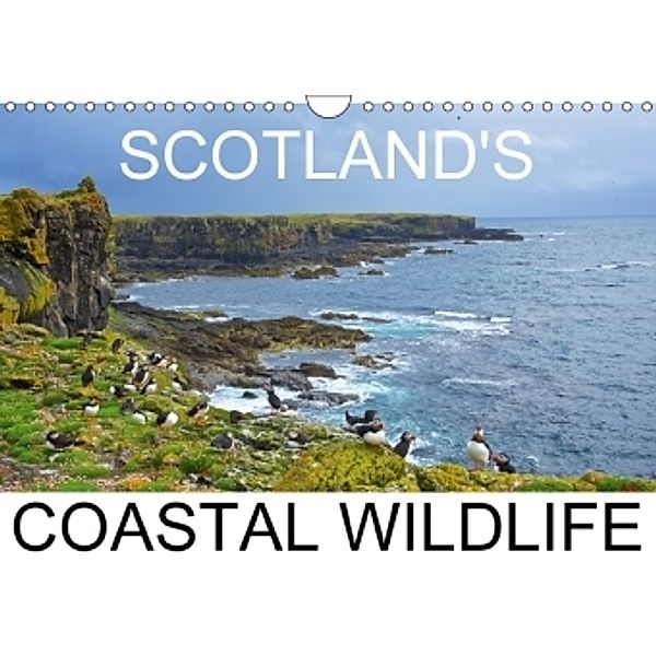 Scottish Coastal Wildlife (Wall Calendar 2017 DIN A4 Landscape), Lister Cumming