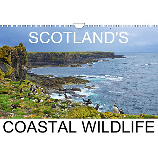 Scottish Coastal Wildlife (Wall Calendar 2021 DIN A4 Landscape), Lister Cumming