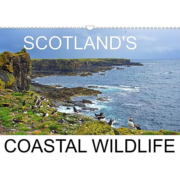 Scottish Coastal Wildlife (Wall Calendar 2023 DIN A3 Landscape), Lister Cumming