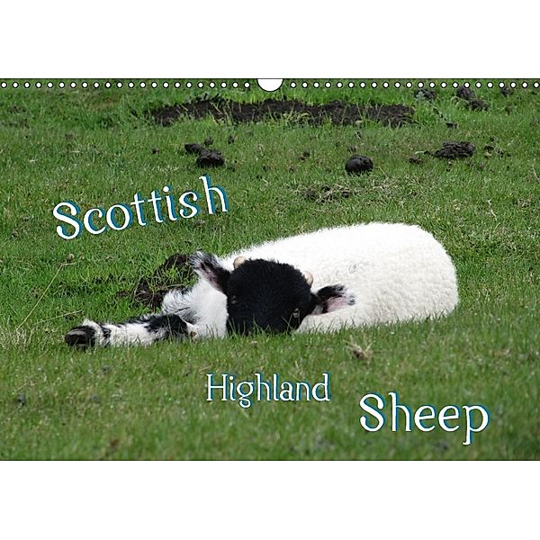 Scottish Highland Sheep (UK Version) (Wall Calendar 2018 DIN A3 Landscape), ~bwd~