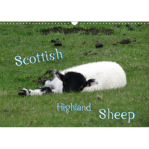 Scottish Highland Sheep (UK Version) (Wall Calendar 2019 DIN A3 Landscape), ~bwd~