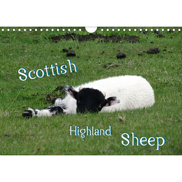 Scottish Highland Sheep (UK Version) (Wall Calendar 2021 DIN A4 Landscape)