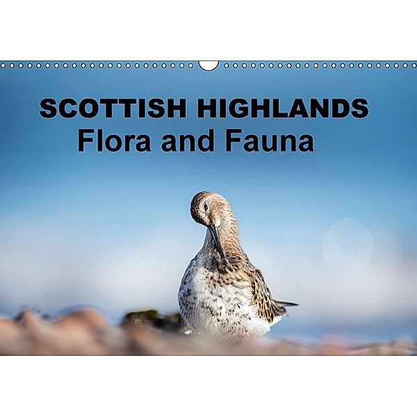 Scottish Highlands Flora and Fauna (Wall Calendar 2018 DIN A3 Landscape), Janette Hill