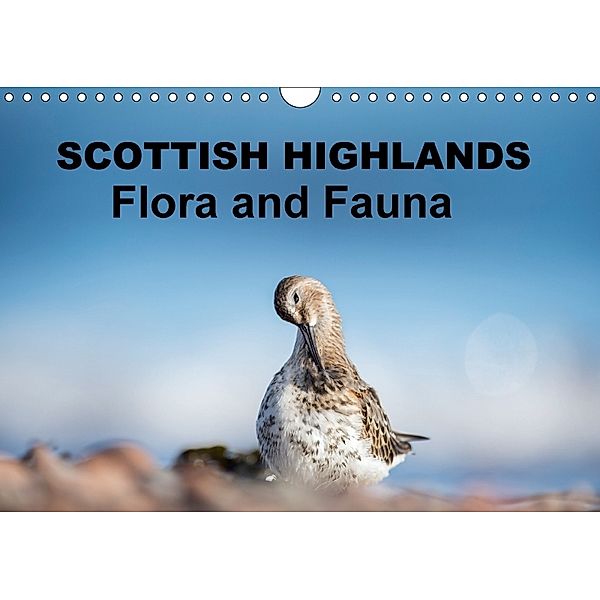 Scottish Highlands Flora and Fauna (Wall Calendar 2018 DIN A4 Landscape), Janette Hill