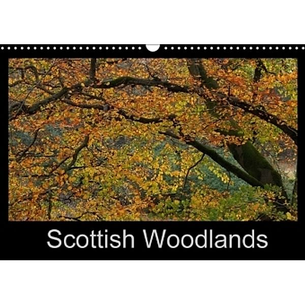 Scottish Woodlands (Wall Calendar 2017 DIN A3 Landscape), Pierre Guillemin