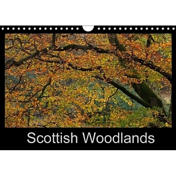 Scottish Woodlands (Wall Calendar 2017 DIN A4 Landscape), Pierre Guillemin