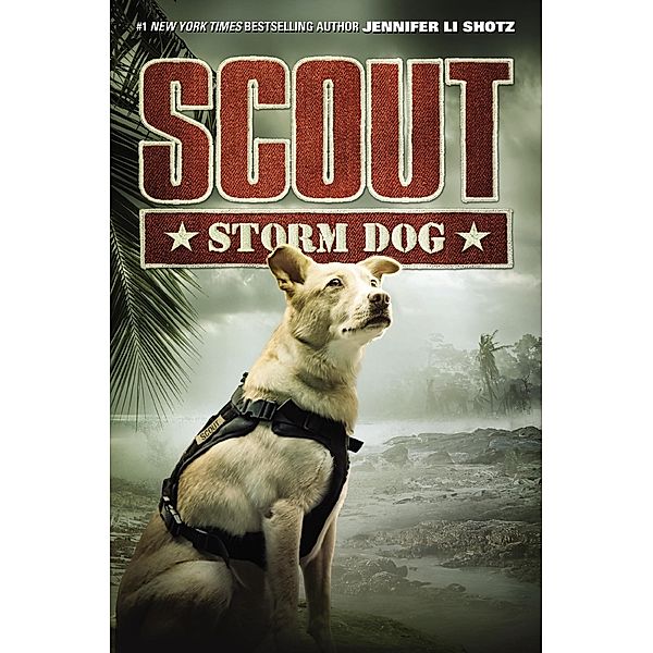 Scout: Storm Dog / Scout Bd.3, Jennifer Li Shotz