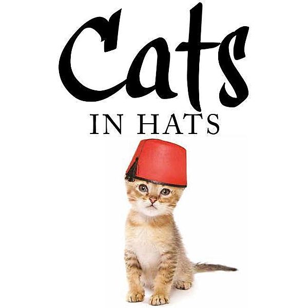 Scratching, K: Cats in Hats, Kat Scratching