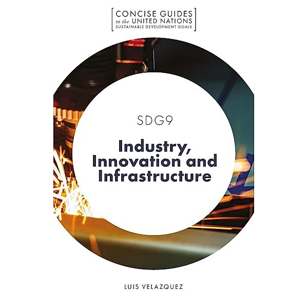 SDG9 - Industry, Innovation and Infrastructure, Luis Velazquez