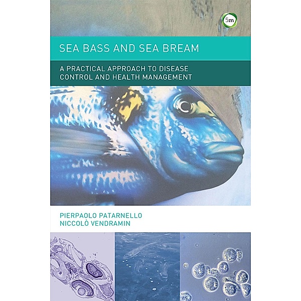 Sea Bass and Sea Bream, Pierpaolo Patarnello