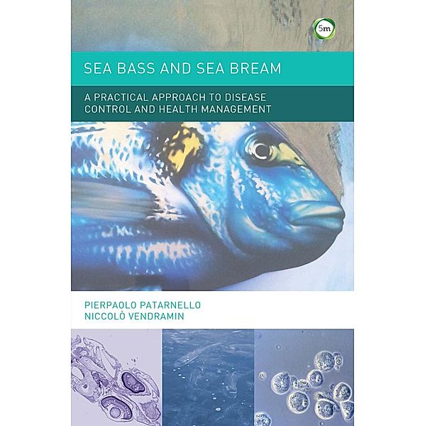Sea Bass and Sea Bream, Pierpaolo Patarnello