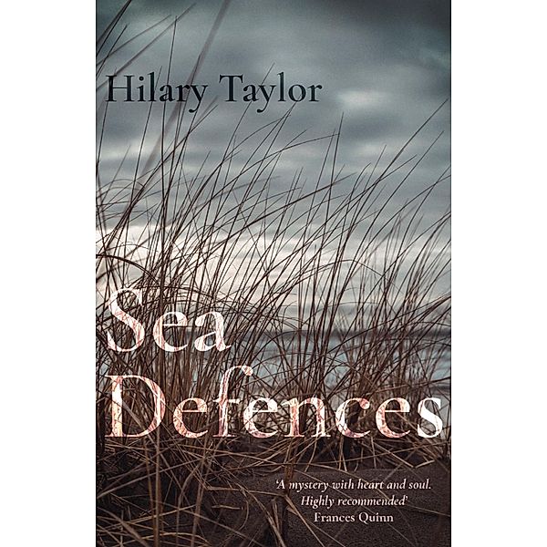Sea Defences, Hilary Taylor