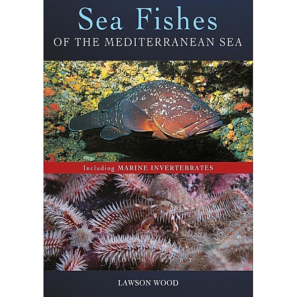 Sea Fishes Of The Mediterranean Including Marine Invertebrates, Lawson Wood