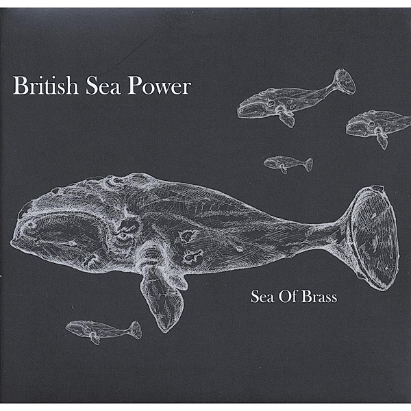 Sea Of Brass, British Sea Power
