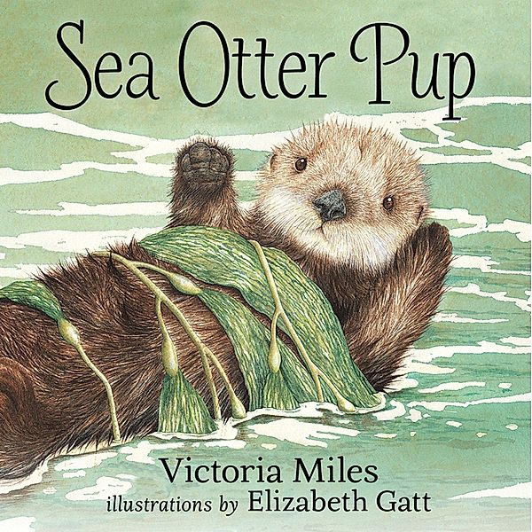 Sea Otter Pup Read-Along / Orca Book Publishers, Victoria Miles